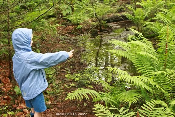 Discover the natural beauty and varied beach to woodland habitats of Eastern Point with Mass Audubon