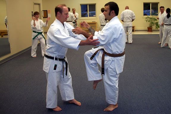 Mahaney's Uechi Ryu Karate Academy is located on Pond Road in Gloucester.