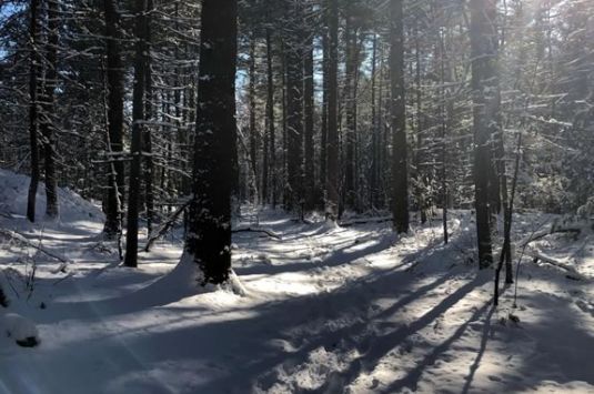 Nice and Easy winter hike at Breakheart Reservation in Saugus Massachusetts