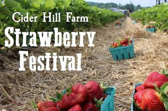 Strawberry Festival at Cider Hill Farm in Amesbury Massachusetts