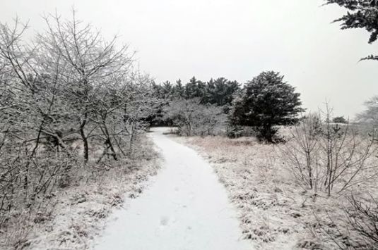 Get outside for a nature hike at Parker River National Wildlife Refuge during Febrary Vacation!