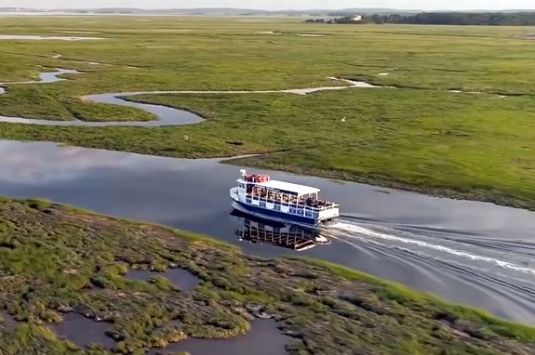 Learn how Plum Island and the Great Marsh were formed and how important they are on this boat tour of the estuary.