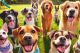 Join fellow animal lovers at the Beverly Homecoming Dog Party in Massachusetts