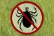 After a walk in the woods, check for ticks before getting in the car!  